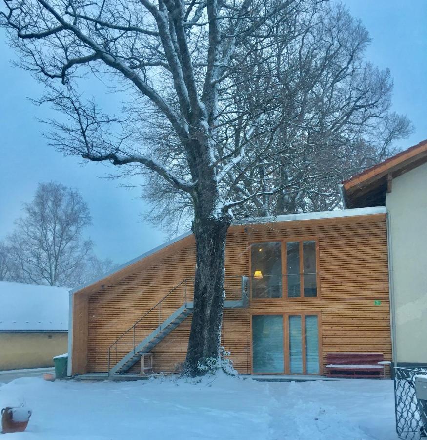 Apartamento Loft Mit Dachterrasse Bernau am Chiemsee Exterior foto